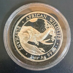 2023�N�\�}���A�i�\�}���A���a���j�]�E1�I���X��݁i�J�v�Z������j