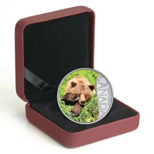 2017�N�J�i�_�h��10�J�i�_����150���N�L�O�F�O���Y���[�x�A����� RCM