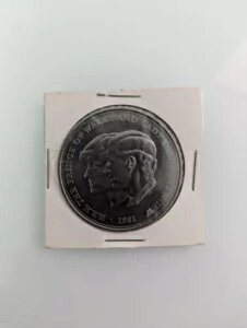 1981N `[Ycqƃ_CAi XyT[ `[Y1̃RC