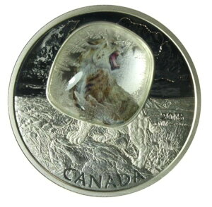 �J�i�_ RCM 2018 20�h�� ����� - �X�ɓ������T�[�x���^�C�K�[