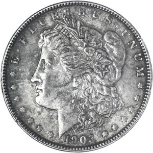 1903�N�iP�j�����K���E�_���[ ���ɗǍD�ȏ�� �ʐ^V201�Q��