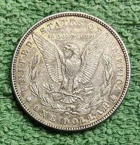 1882N [K *** ʏԂ̗ǍDȃRC - ʐ^I #6054