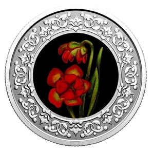 2021NJi_Ԗ3h݁AEc{JYij[t@hhj - 214