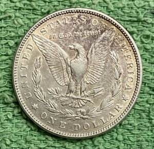 1882N [K *** ʏԂ̗ǍDȃRC - ʐ^I #6053