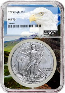 2025N 1IX Vo[ AJC[O NGC MS70 - C[OsN`[RA