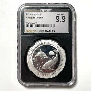 2024N I[XgA S$1 v htB t@CVo[ 1IX ~gXe[g 9.9 NGC-X MS69