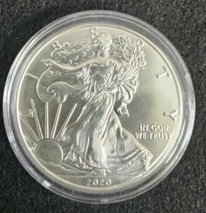 2020�N �A�����J�� �V���o�[ �C�[�O�� 1�I���X �J�v�Z���� - BU