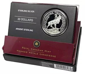 2006�N�X�^�[�����O�V���o�[�v���[�t30�h���{�[�����E�n�����j���[�t�@���h�����h�L�O�i#53-03