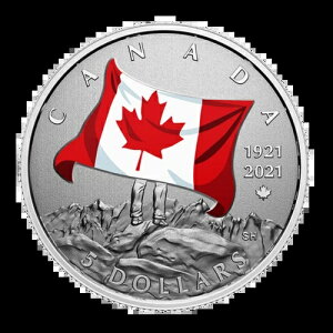 ???? VJi_ 5h Ɏu - iViJ[A2021