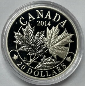 2014N }WFXeBbNE[v[tX 20Ji_h 1IX ݁ARĈ݁BC-1919