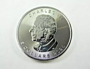 2024N 5h 1gCIX [v[t Ji_ 9999 t@CAg LO`[Y3