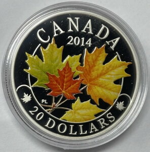 2014N FʖLȃ}WFXeBbNE[v[t 20Ji_h 1IX݁ARĈ݁BC-1924