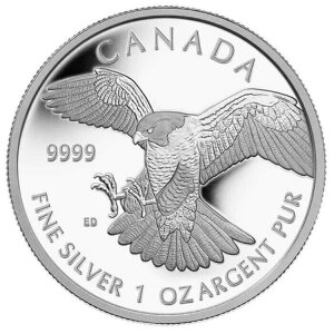 2014NJi_$5ҋחރV[Y - nuT - 1IX