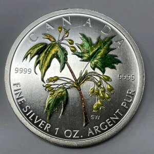 2003N F⃁[v[tJi_ 1IX݁ARĈ݁BC-1953