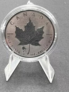 2019�N�J�i�_ 5�h�� 1�I���X �~���@ �v���C�x�[�g�}�[�N ���[�v�����[�t �V���o�[�n���R�C��