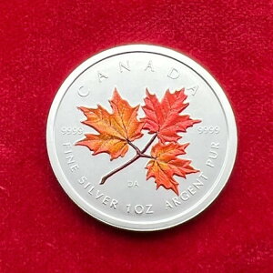 5hJi_A2001NA[v[tA1IX݁AIWiAJ[