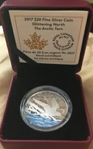 2017N Ji_ 20h  LNAWTV̋P