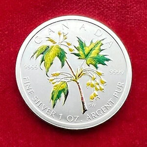 5hJi_A2003NA[v[tA1IX݁AIWiAJ[