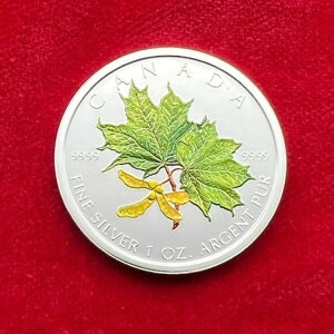 5hJi_A2002NA[v[tA1IX݁AIWiAJ[