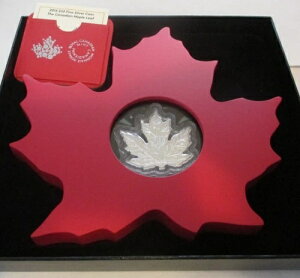 2015N - 20hݕ - Ji_[v[t - 99.99% - COA