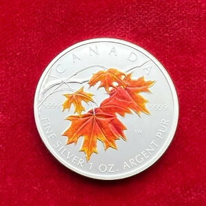 5hJi_A2007NA[v[tA1IX݁AIWiAJ[