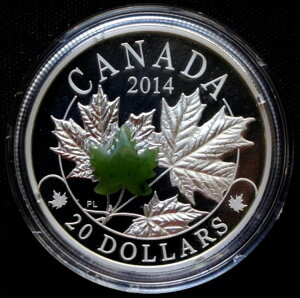 2014NJi_ 20h v[t 1IXRC - Yȃ[v[tŐ