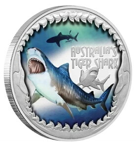 I[XgÅ댯ȃ^CK[V[N 2023 1IX Vo[ v[t J[RC