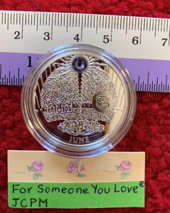 ݁FA2013N6 jEG 1h K̖@̃J_[