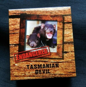 2013N - Ŋ뜜 - ^X}jAfr - 1IX Vo[v[t - COA 1797/5000