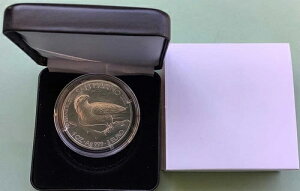 T}m 1IX Vo[ nuT RC 2025  Ag 999 P[X + JvZ