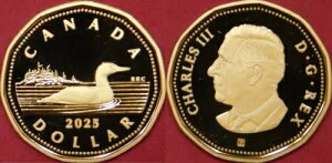 2025NJi_bL1hv[ti~gZbgj