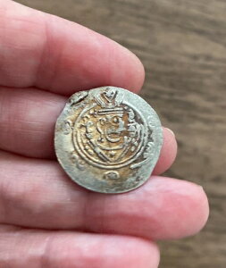 �A���u�E�T�T��������A�^�o���X�^���i����8���I�j�B�␻�w�~�h���N�}�B