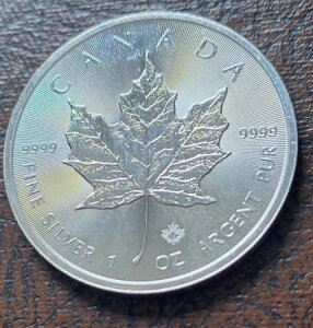 2016NJi_[v[t1IX.9999t@CVo[UNC኱́u~NX|bgv31.1g