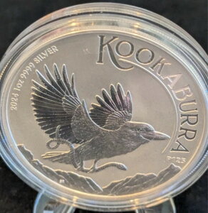 2024 N 1 h I[XgA Vo[ NbJo 1 IX .9999 t@C BU Mtg!