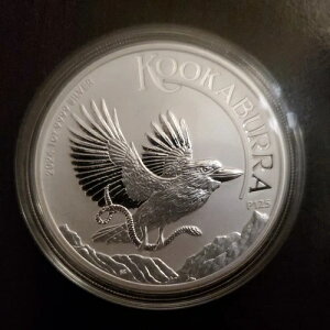 2024NI[XgA1IX⃏CJZ~