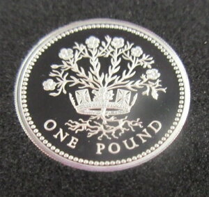 1991�N 1�|���h �G���U�x�X2�� �A�C�������h�Y������� �v���[�t 1�|���h�d�� �����ۏ؏�