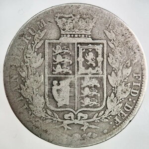 1883�N ���B�N�g���A �n�[�t�N���E����� | �R���N�^�[�Y�O���[�h