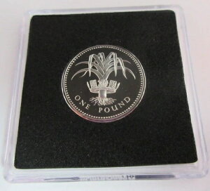 1985�N 1�|���h �G���U�x�X2�� �E�F�[���Y�Y ���[�N��� �v���[�t 1�|���h�d�� �����ۏ؏�