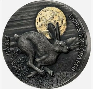 K[i 2ZfB 2021N ̖̒ETM̖쐶 AeB[Ndグ 