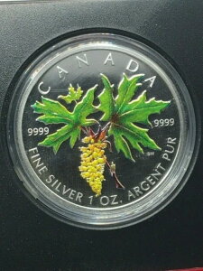 2005NJi_5h1IX[v[tJ[