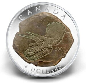 2008NJi_ 4h gPgvX΃v[tRC