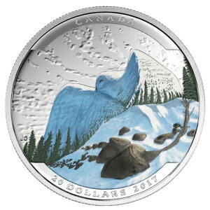 2017NJi_h20h - iFVtNE