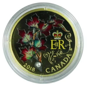 Ji_ RCM 2018 20h  - [v[t u[`