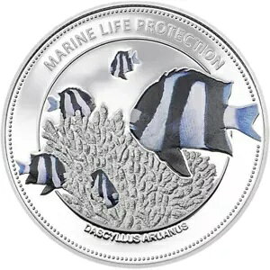 2015N 5h pICmFzCge[E_ZtBbV X^[OVo[RC