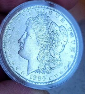 1886N P $1 K݁iGA^CgJvZtj