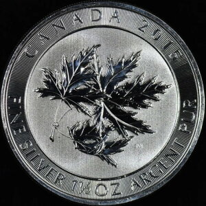 2015N Ji_ 8h ? cC[v[t ? [t 1.5 1 1/2IX ?Mς?