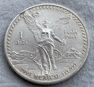 LVR oeB 1993 1 IX .999 ㎿ Ei IY x^[h v^ v .999