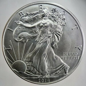 2014N AJ Vo[ C[O 1IX  | ɍO[h | a511