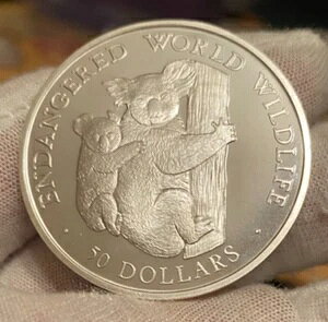 NbN 1990N ~50h RAƎq Ŋ뜜̖쐶