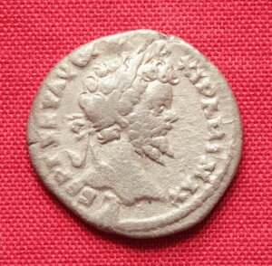 Ñネ[}̃ZveB~EXEZEFXfiEX